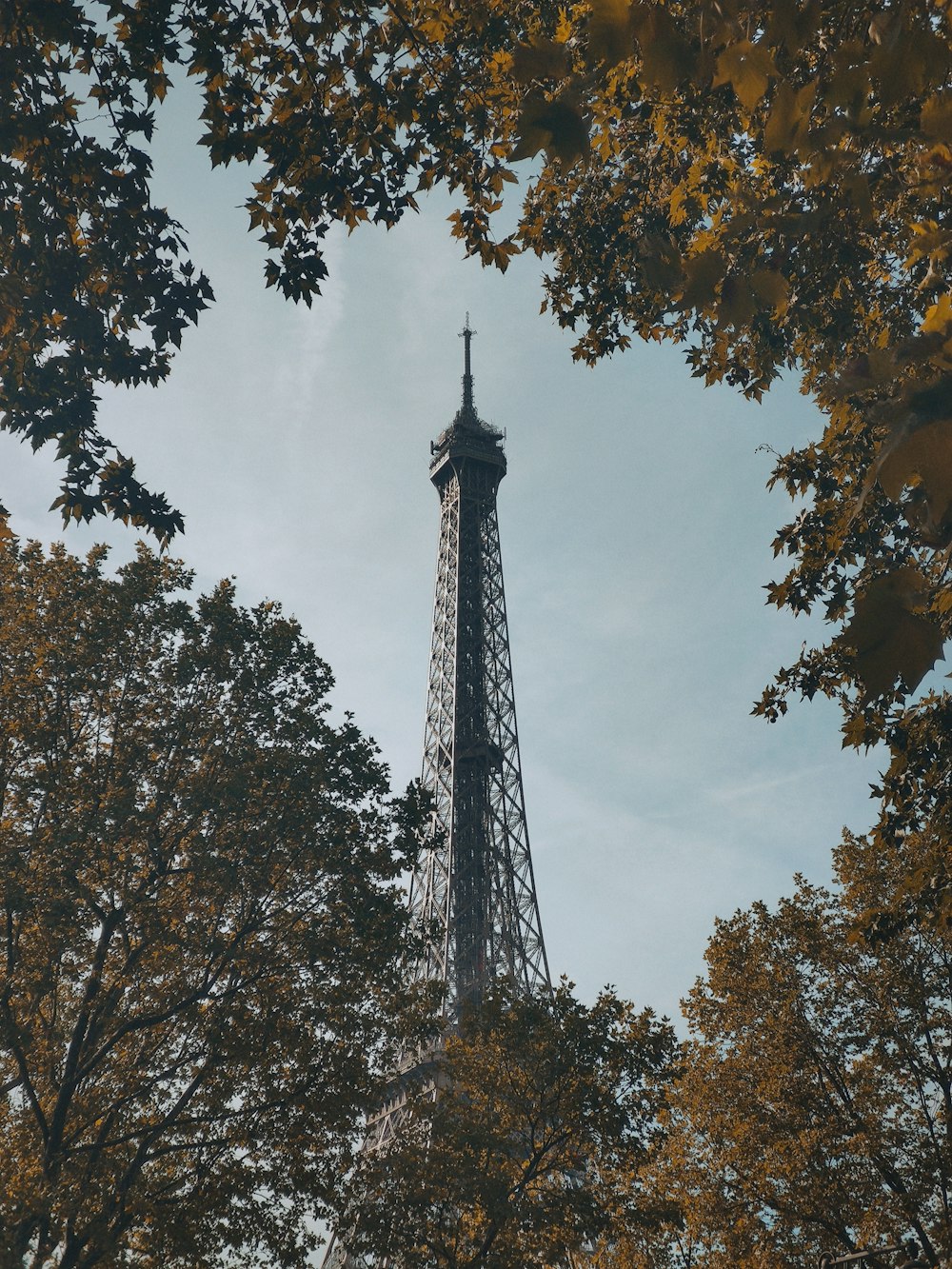 a view of the eiffel tower through the trees