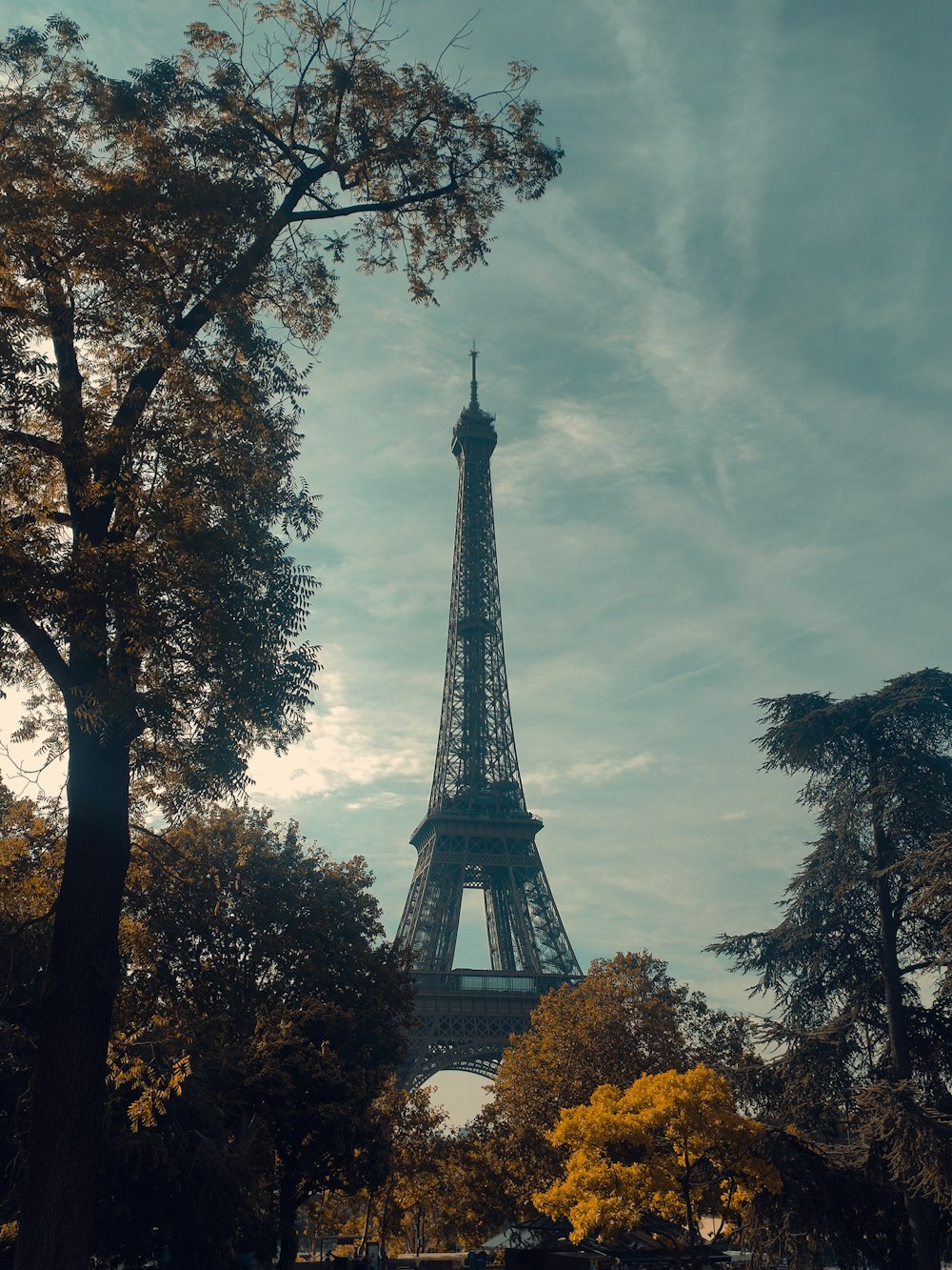 a view of the eiffel tower from a park