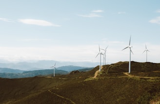 a group of wind turbines on a hill