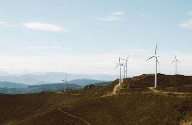 a group of wind turbines on a hill