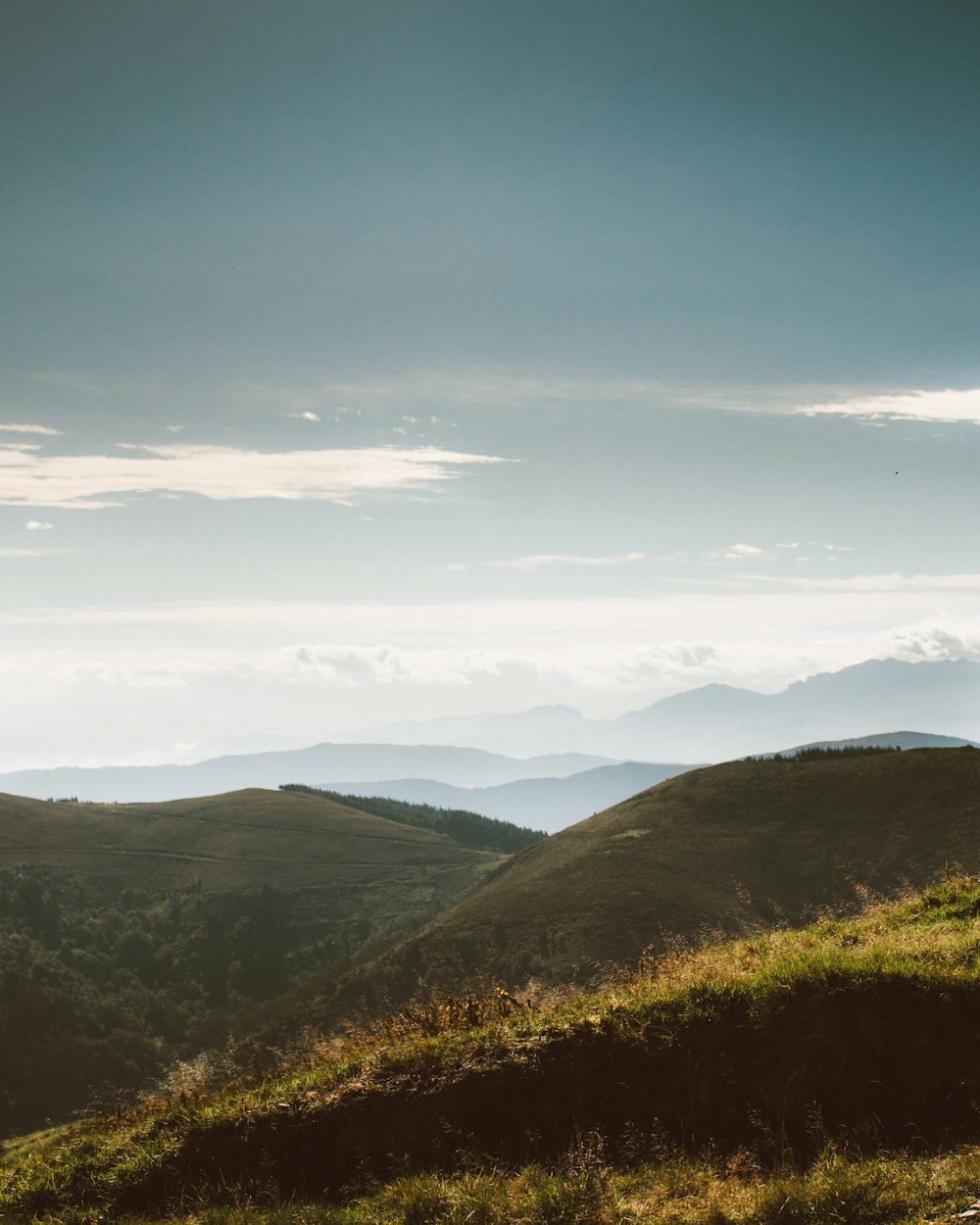 a man riding a horse on top of a lush green hillside