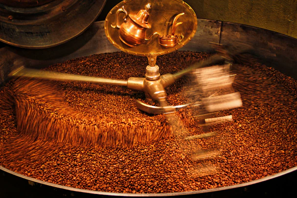 Close-up of green coffee beans being sorted on industrial machinery in a bright processing facility.