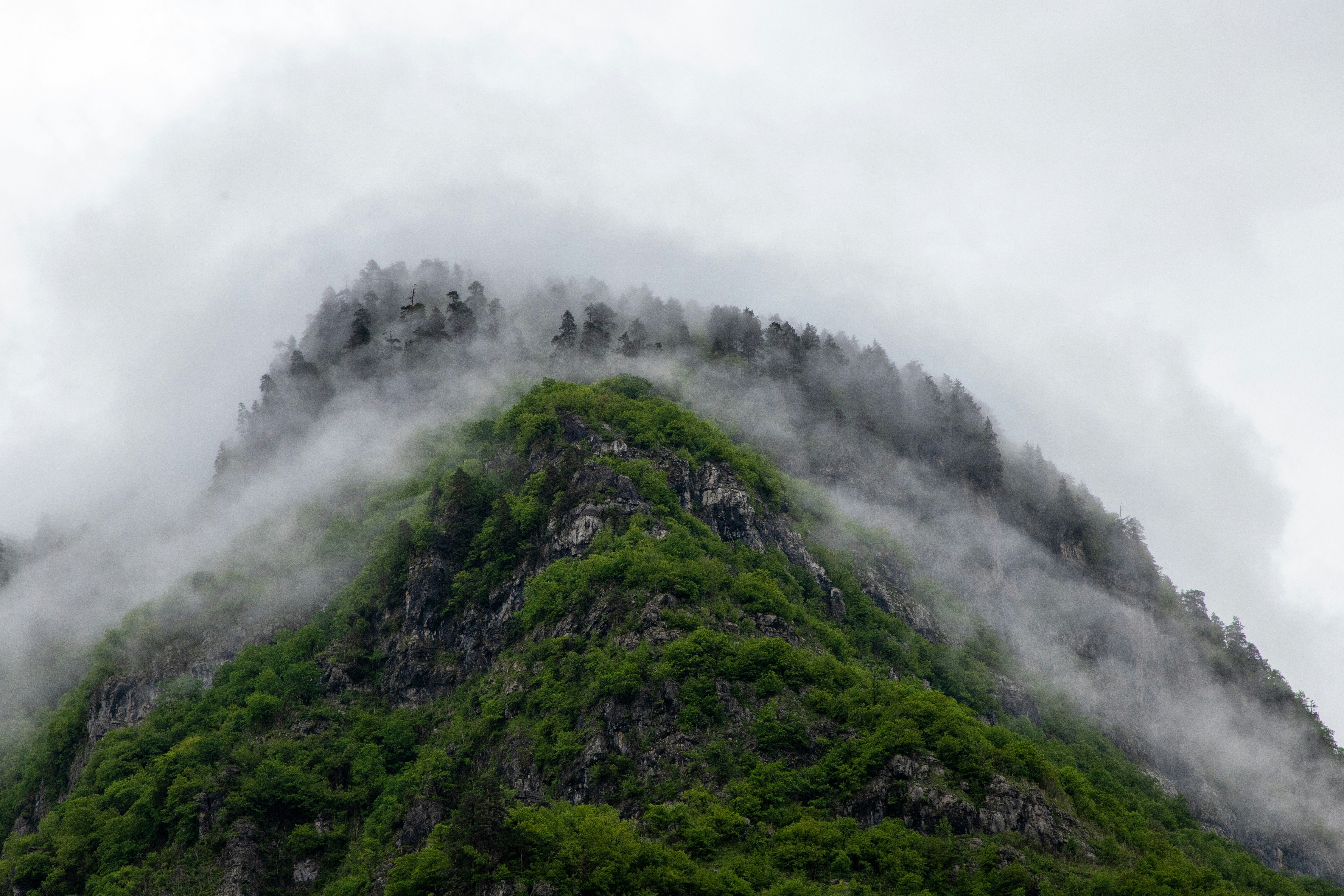 Photo by headofnarnia23