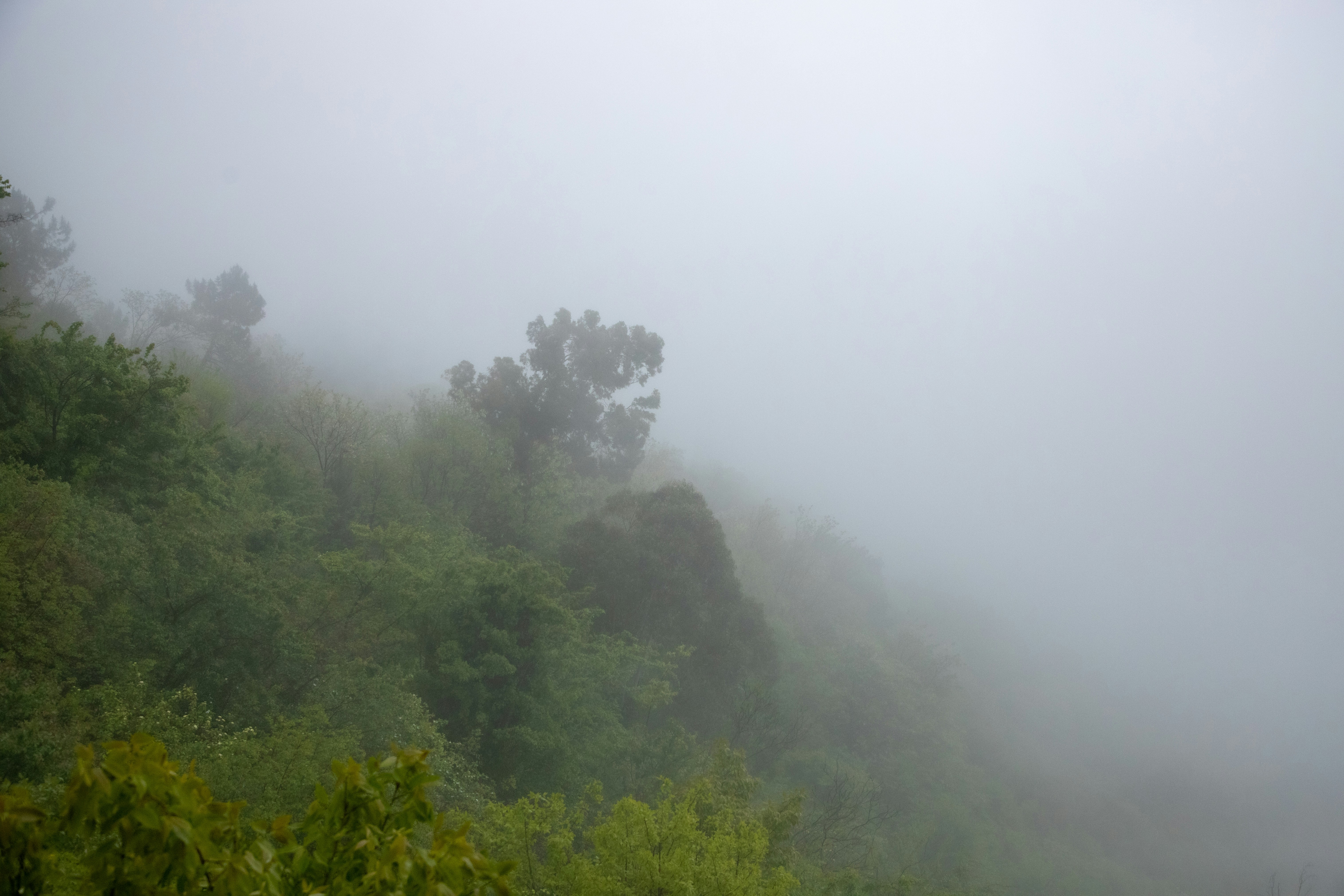 Photo by headofnarnia23