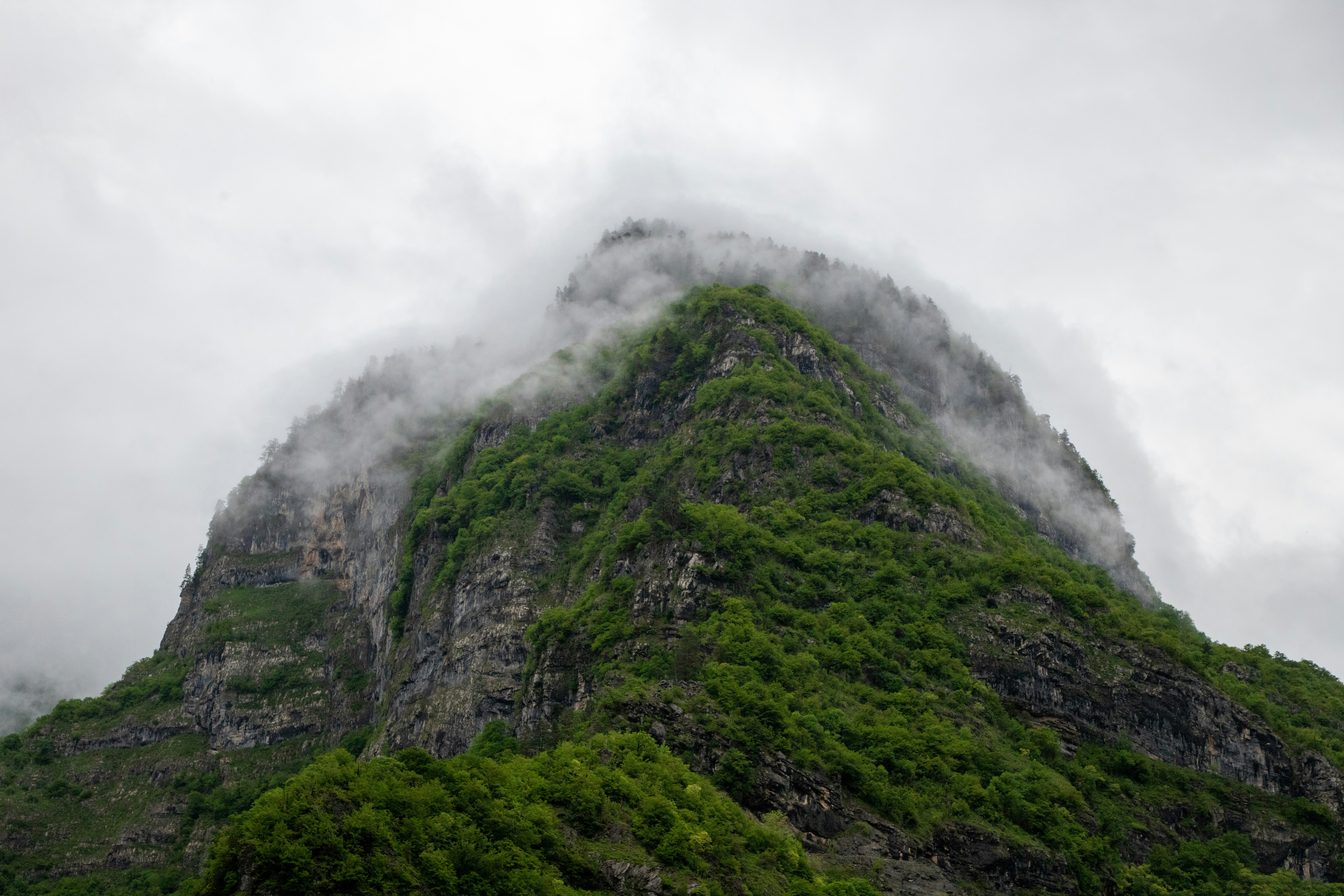 Photo by headofnarnia23