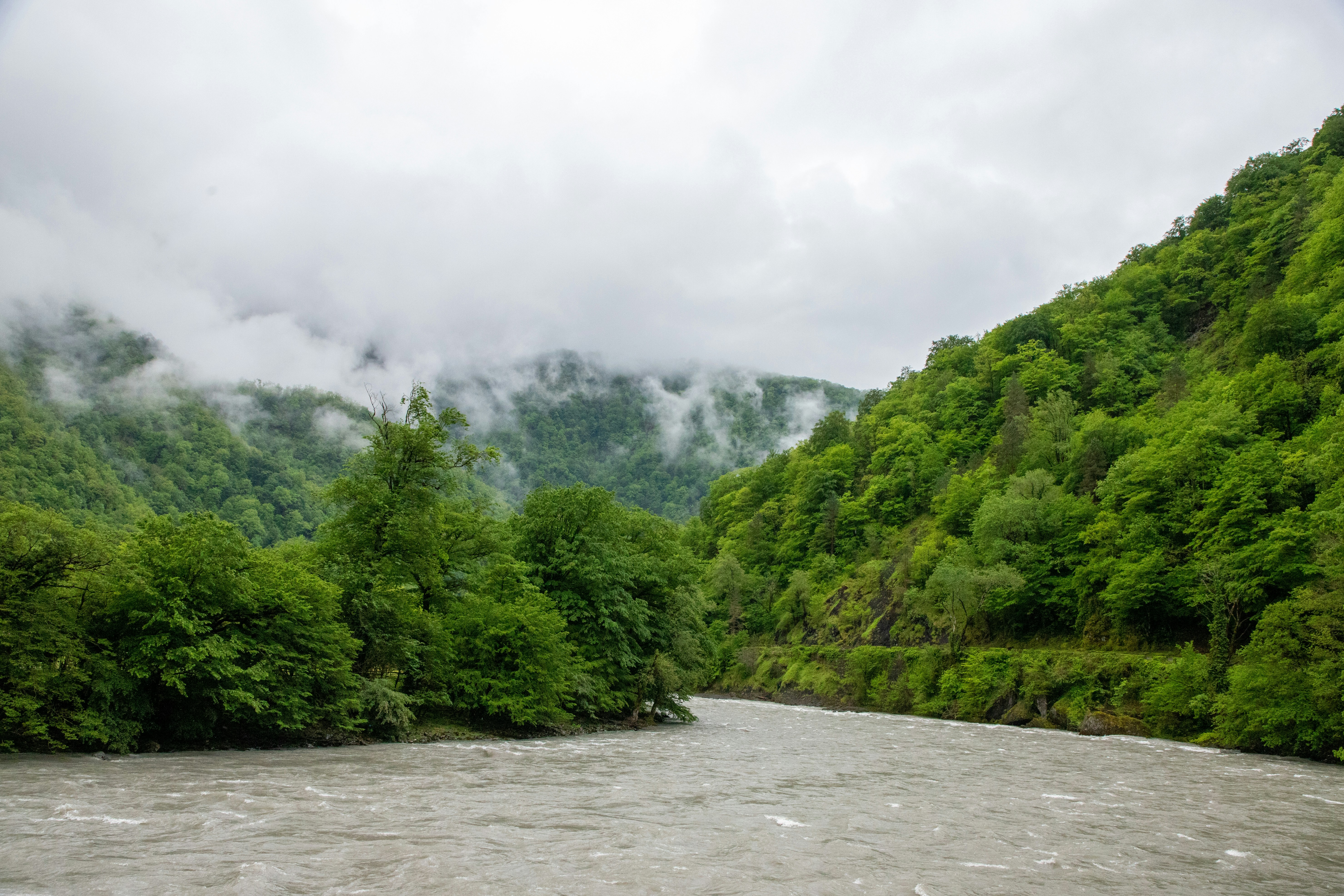 Photo by headofnarnia23