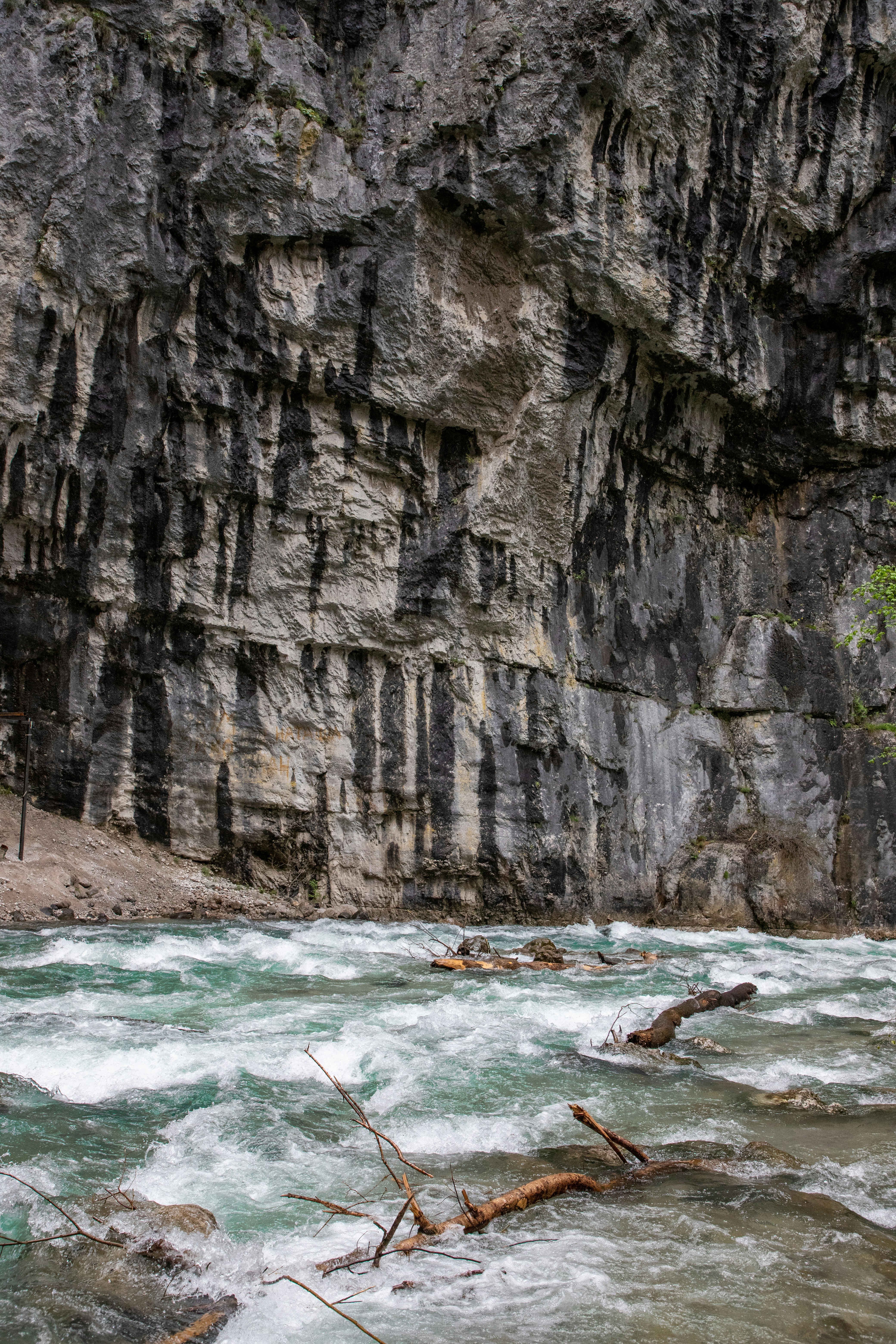 Photo by headofnarnia23