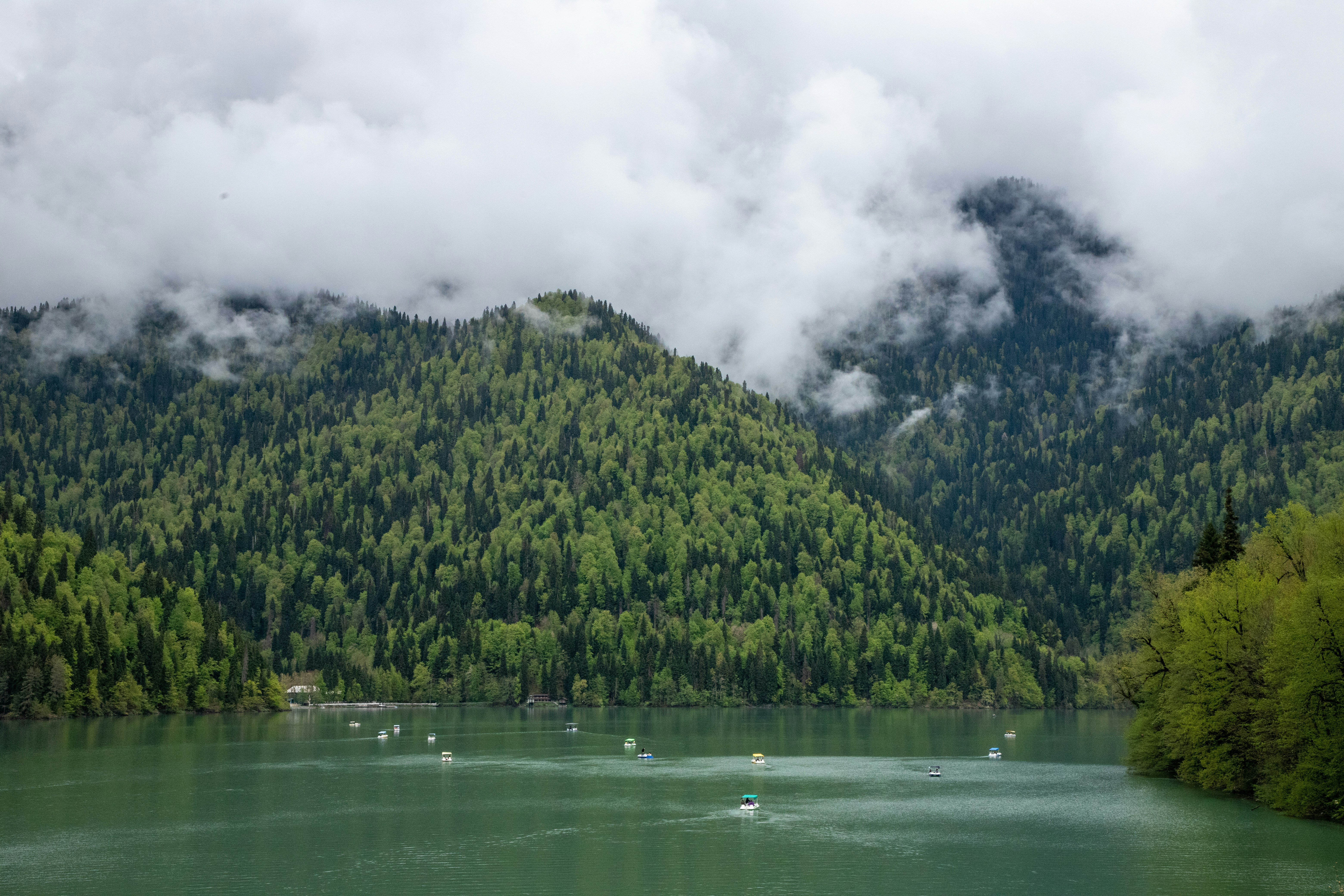 Photo by headofnarnia23