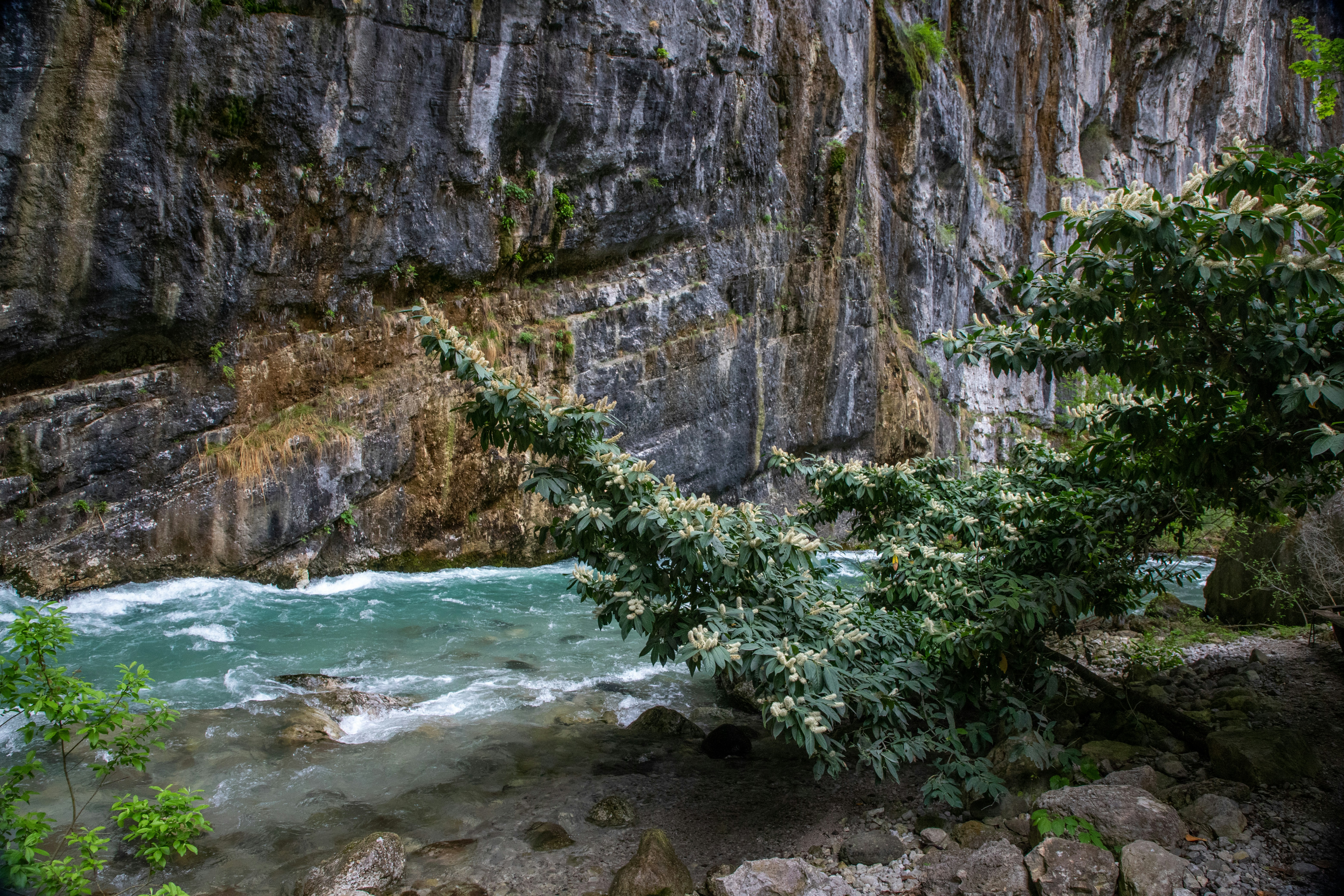 Photo by headofnarnia23