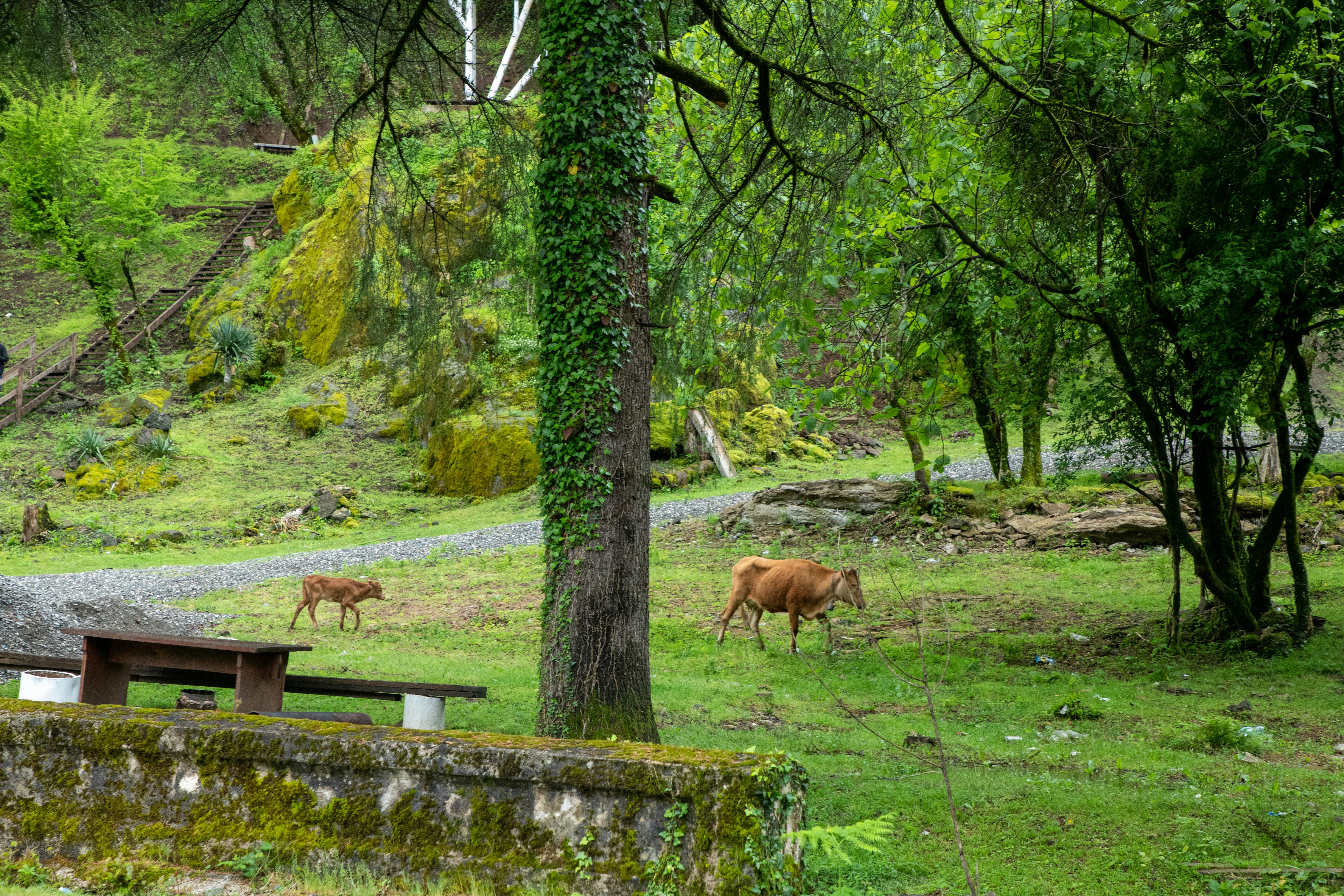 Photo by headofnarnia23