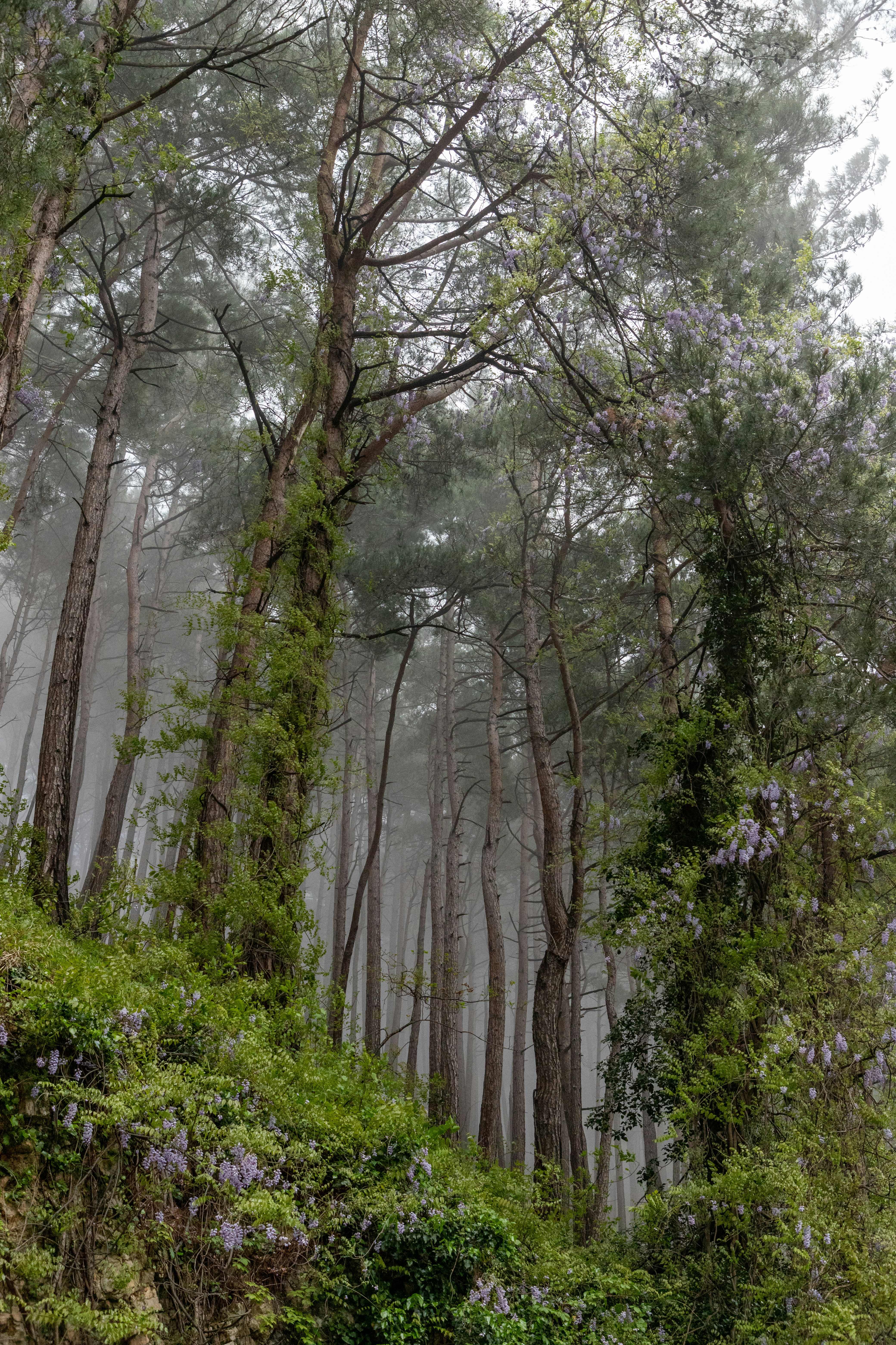 Photo by headofnarnia23