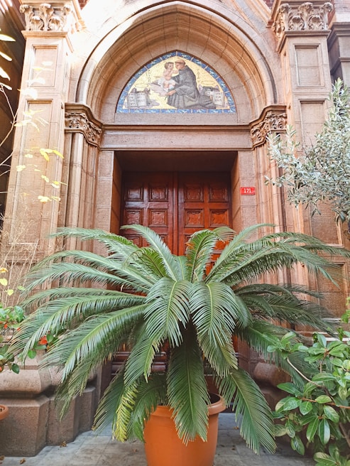 An entrance doorway framed by plants and Vastu symbols, inviting positive energy into the home.
