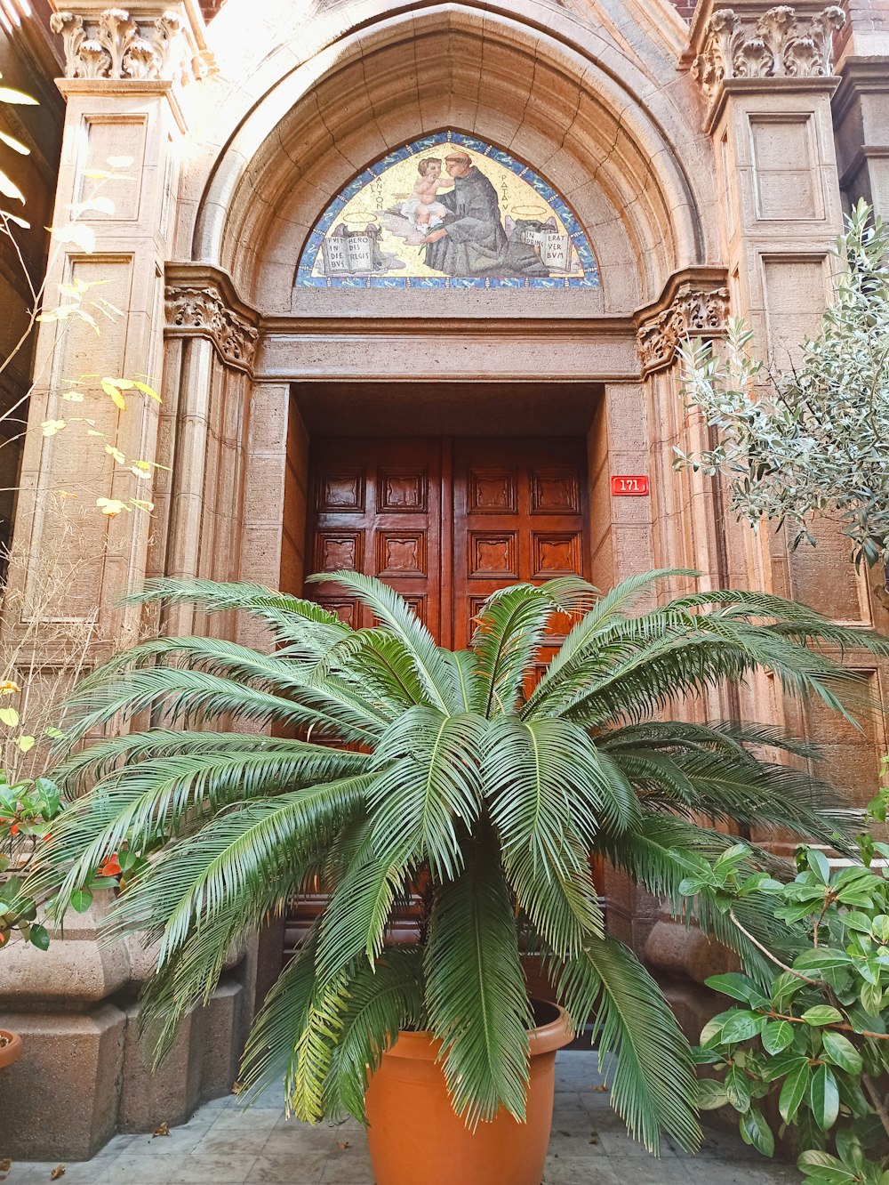 a large potted plant sitting in front of a building