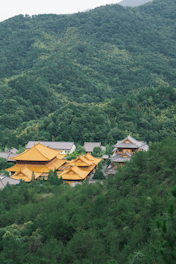 A cluster of traditional buildings with vibrant yellow roofs nestled within lush green forested hills. The architecture stands out against the natural backdrop, creating a serene and harmonious setting. The structures appear well-maintained and are likely of cultural or religious significance.