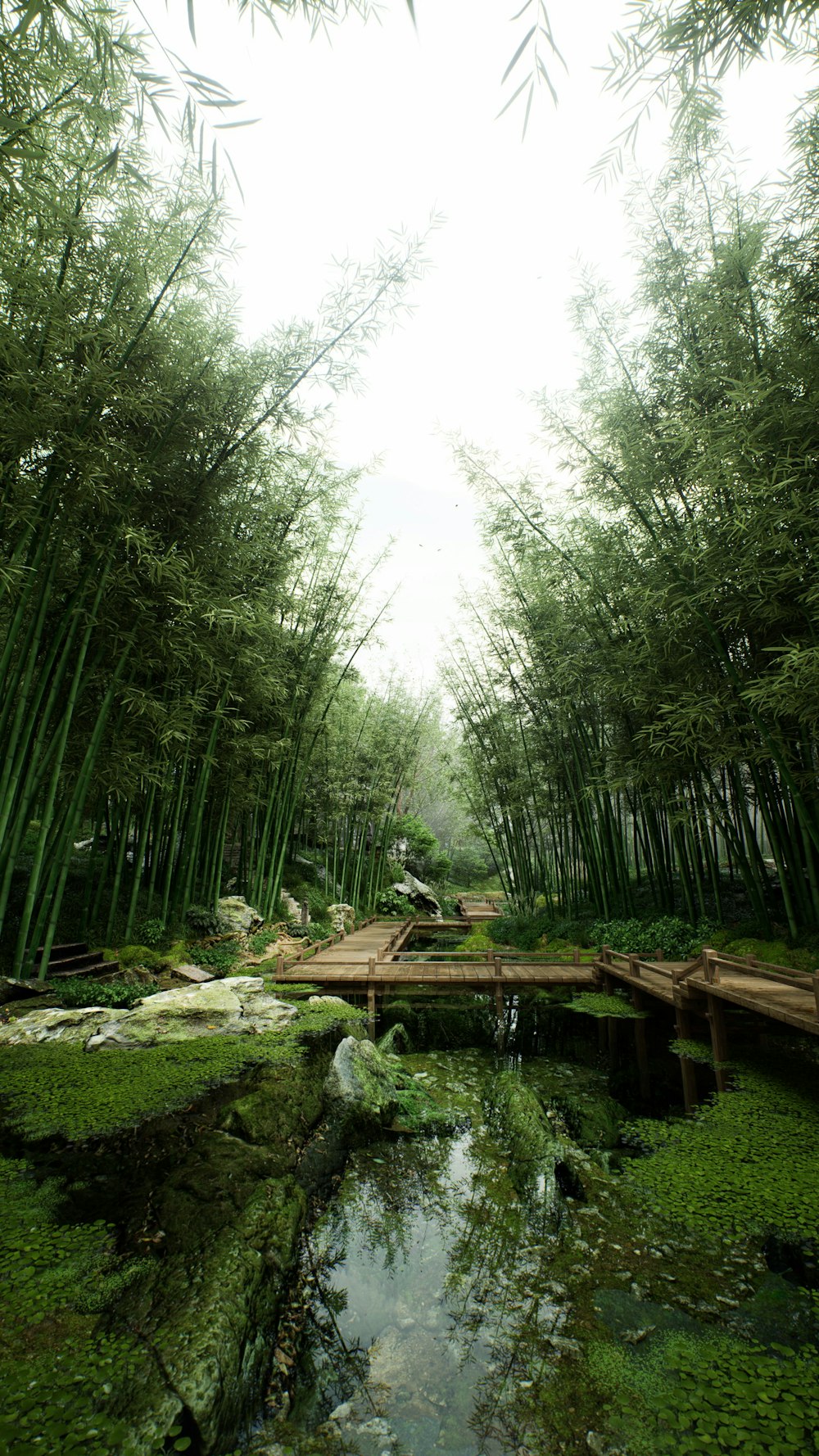 a pond surrounded by bamboo trees in a forest
