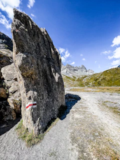 Survey marker placed precisely on a rocky landscape with mountains in the background