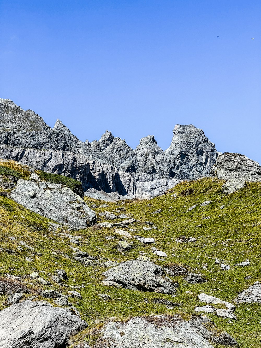 a grassy hill with rocks and grass in the foreground