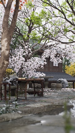 A tranquil garden scene featuring cherry blossom trees with delicate pink flowers surrounding a traditional wooden structure. A stone path leads through the garden, past a wooden table and stool. Lush green leaves and scattered petals enhance the serene ambiance.