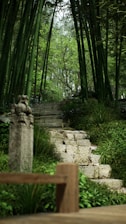 A tranquil stone path winding through moss-covered temple gardens surrounded by bamboo and forest.