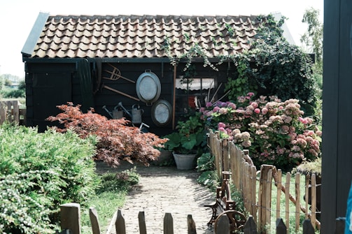 A rustic garden scene features a small wooden shed with a tiled roof. Climbing plants and green foliage partially cover the shed, while an array of gardening tools and metal basins are hung on the side. In the foreground, a variety of flowering shrubs and bushes, including hydrangeas, and a well-maintained path leading through a quaint wooden fence add to the pastoral atmosphere.