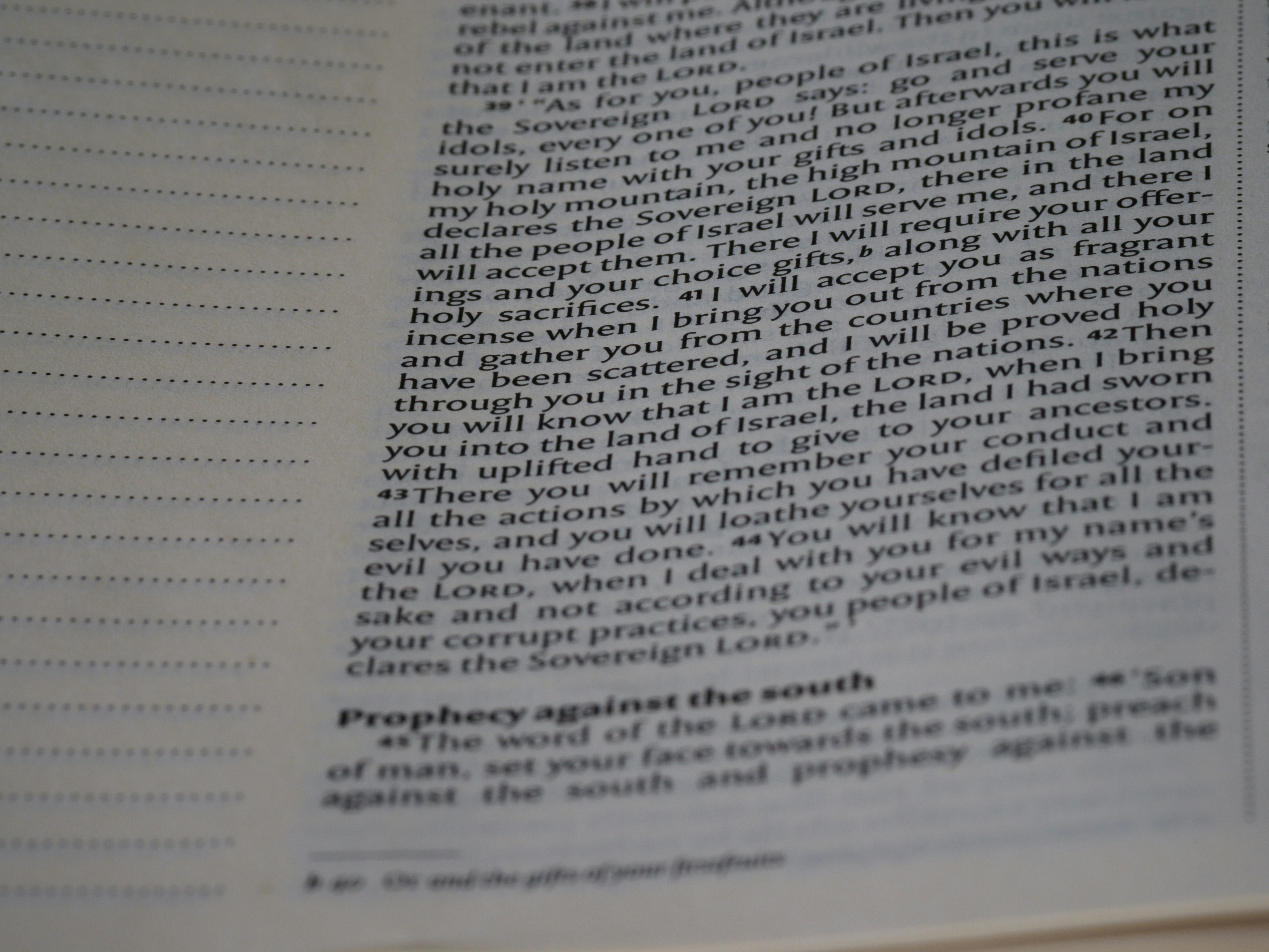 Photo by brett_jordan