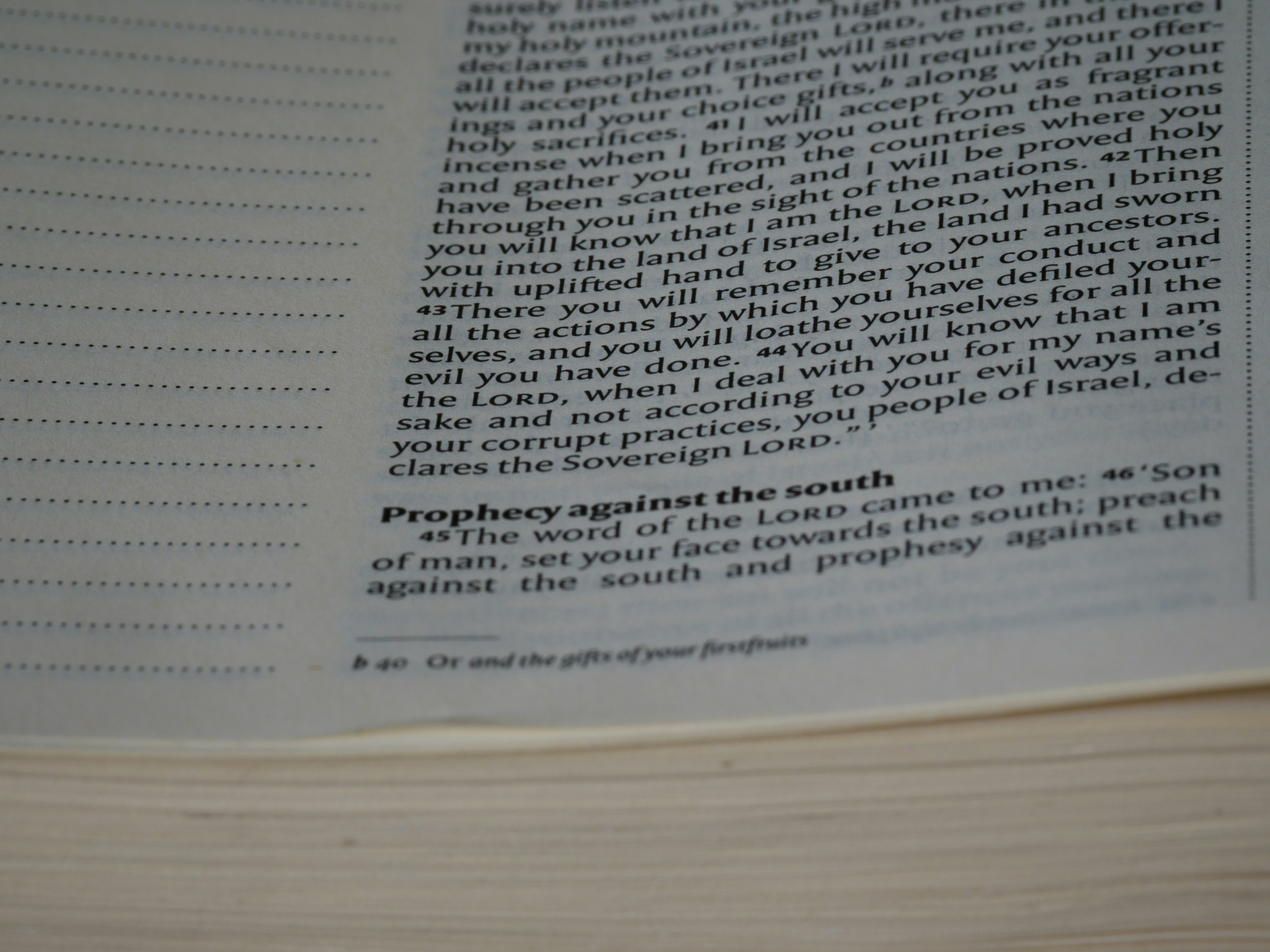 Image de mongodb 7.2 : vector search native pour vos applications IA