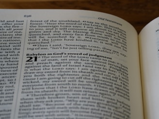 A close-up of an open book displaying text from the Old Testament. The pages show biblical passages, including numbered sections and some highlighted words.