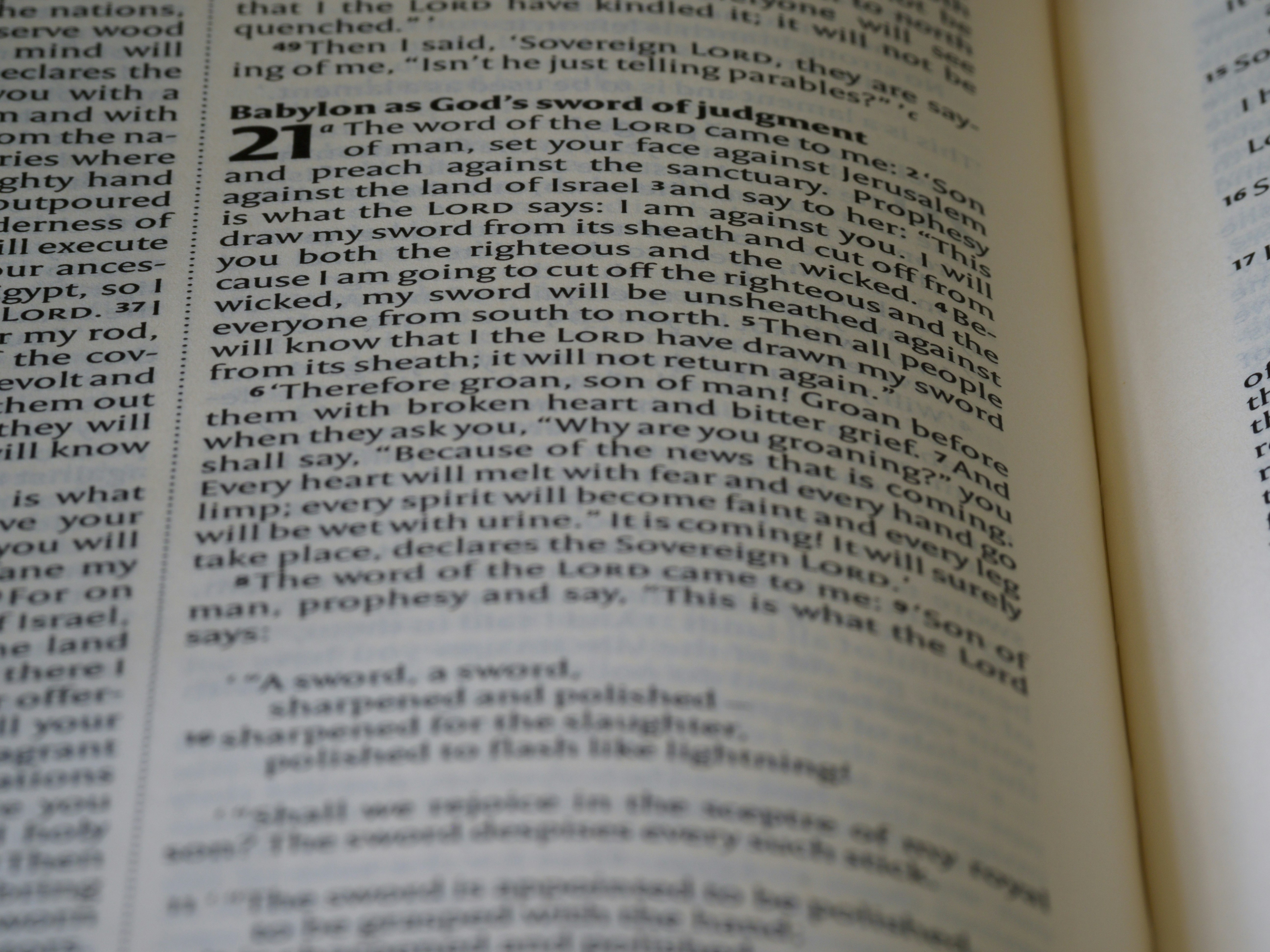 Photo by brett_jordan