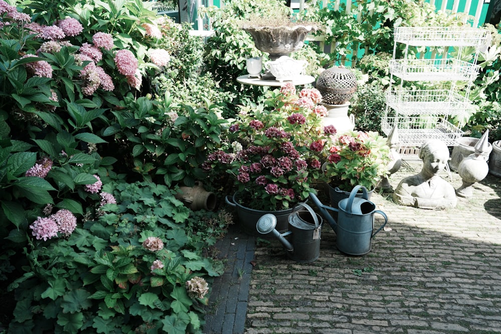 a bunch of flowers that are sitting in the dirt