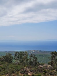 A scenic view of lush green plots of land in Seferihisar under a clear blue sky.