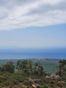 A scenic view of lush green plots of land in Seferihisar under a clear blue sky.