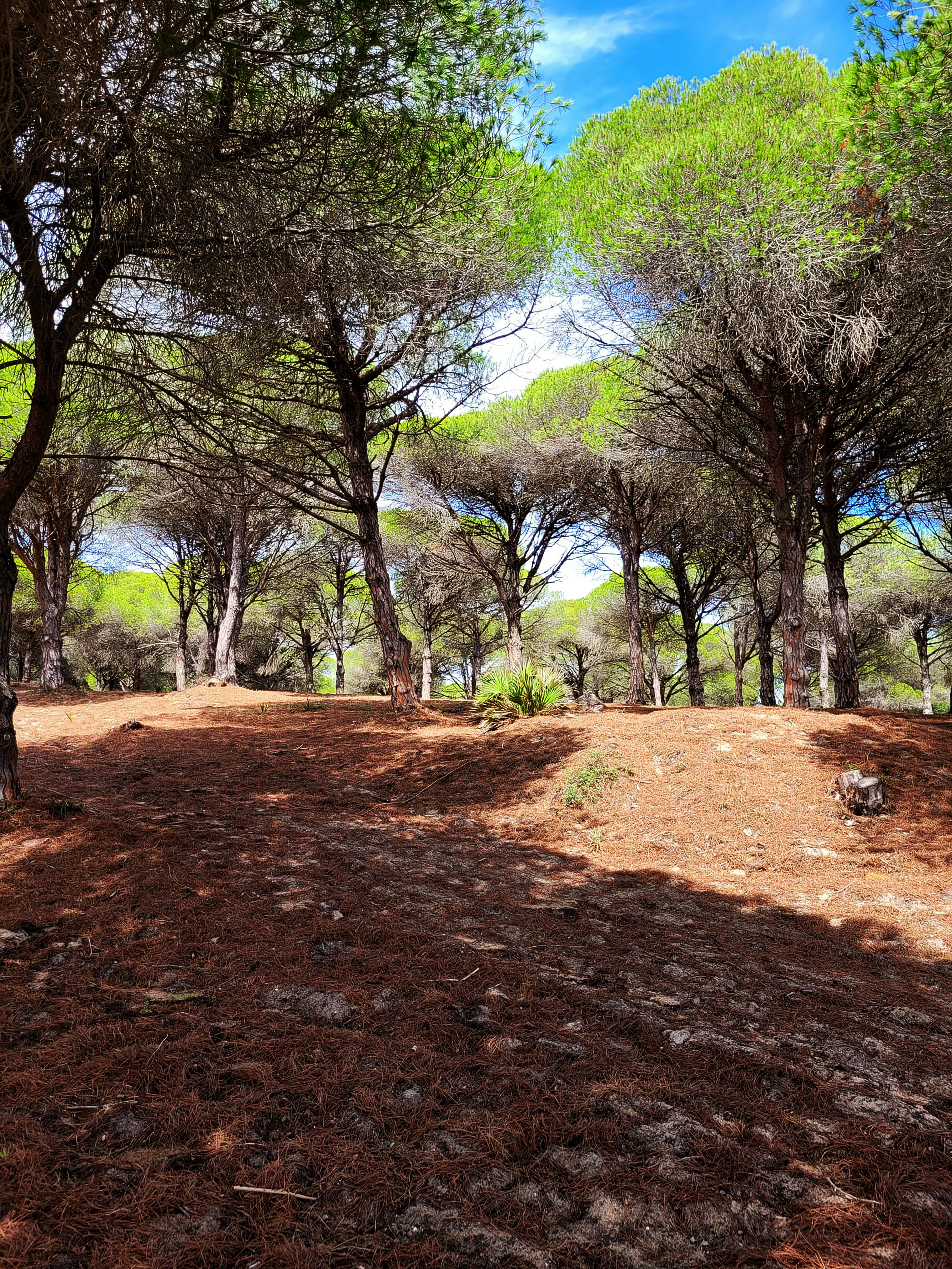 Photo by sohailai_darwesh