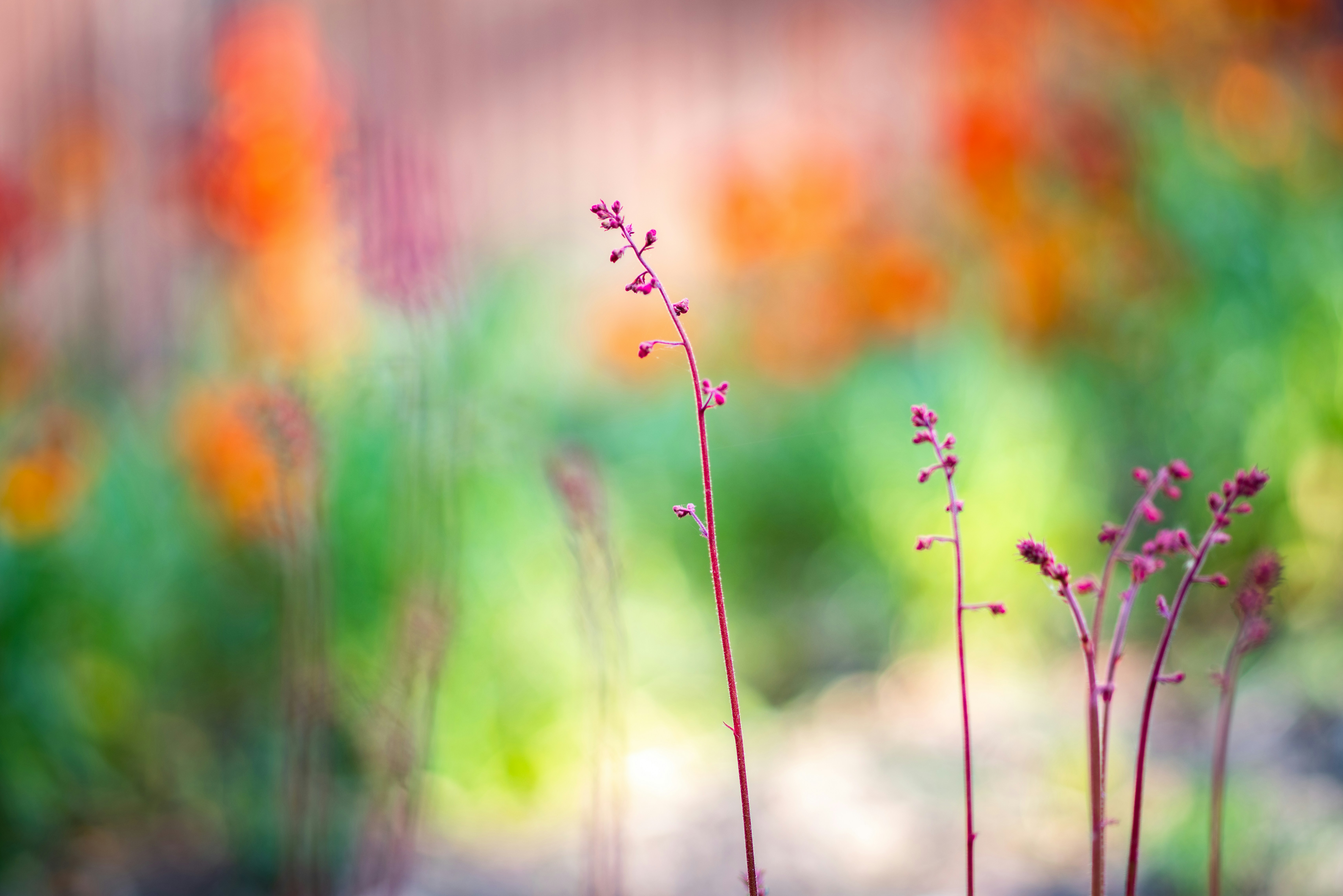 Photo by coombez