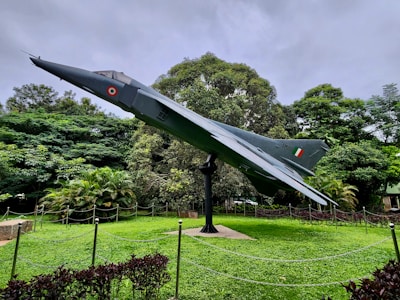 a fighter jet sitting on top of a lush green field