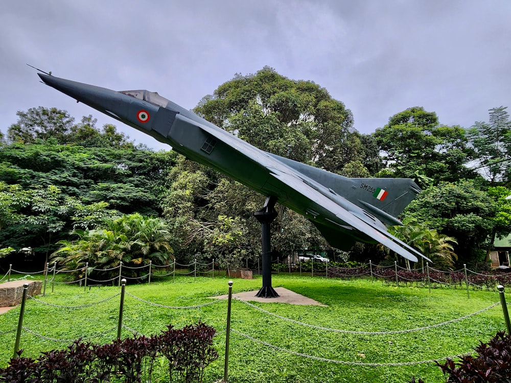 a fighter jet sitting on top of a lush green field