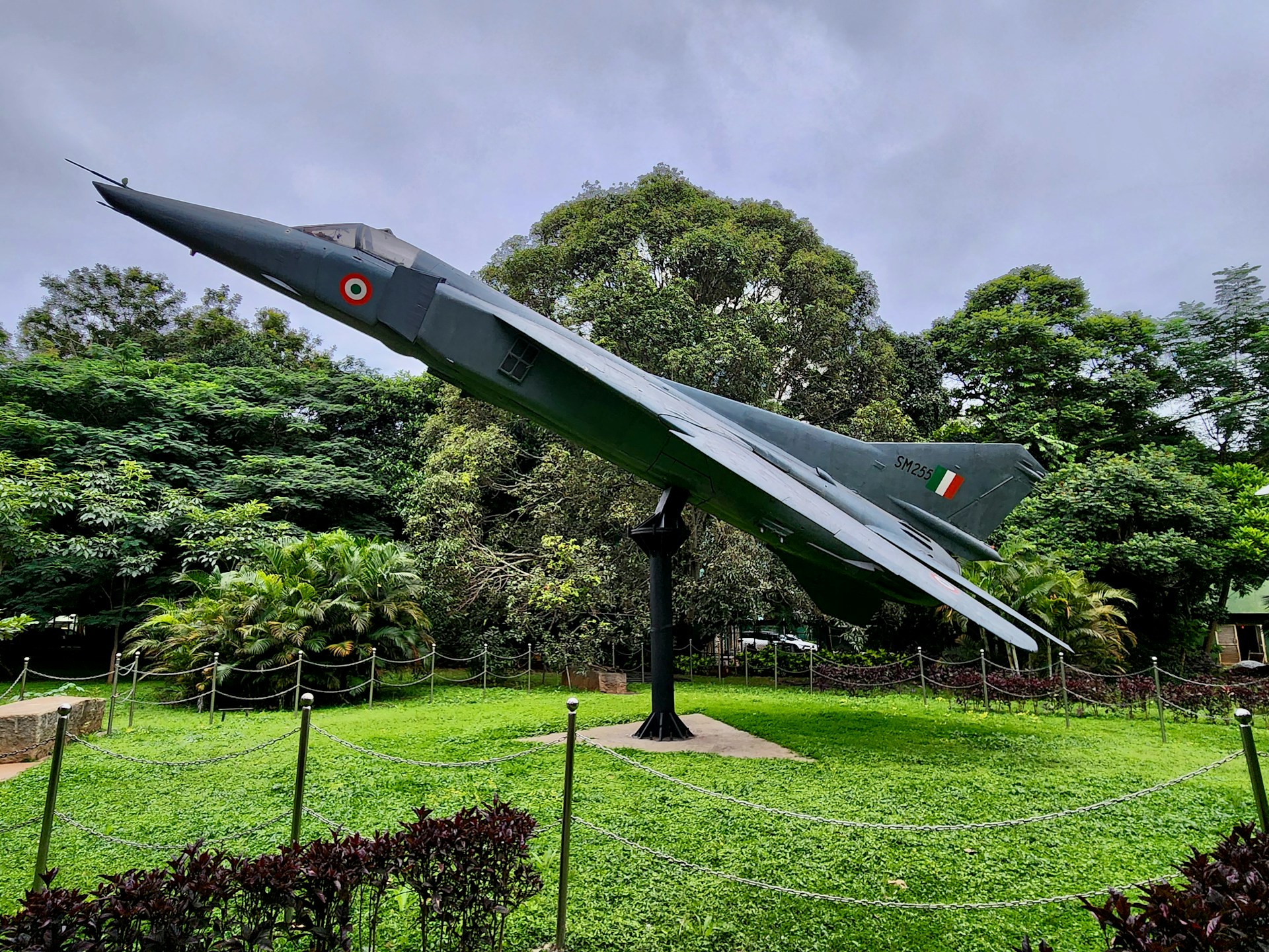 a fighter jet sitting on top of a lush green field