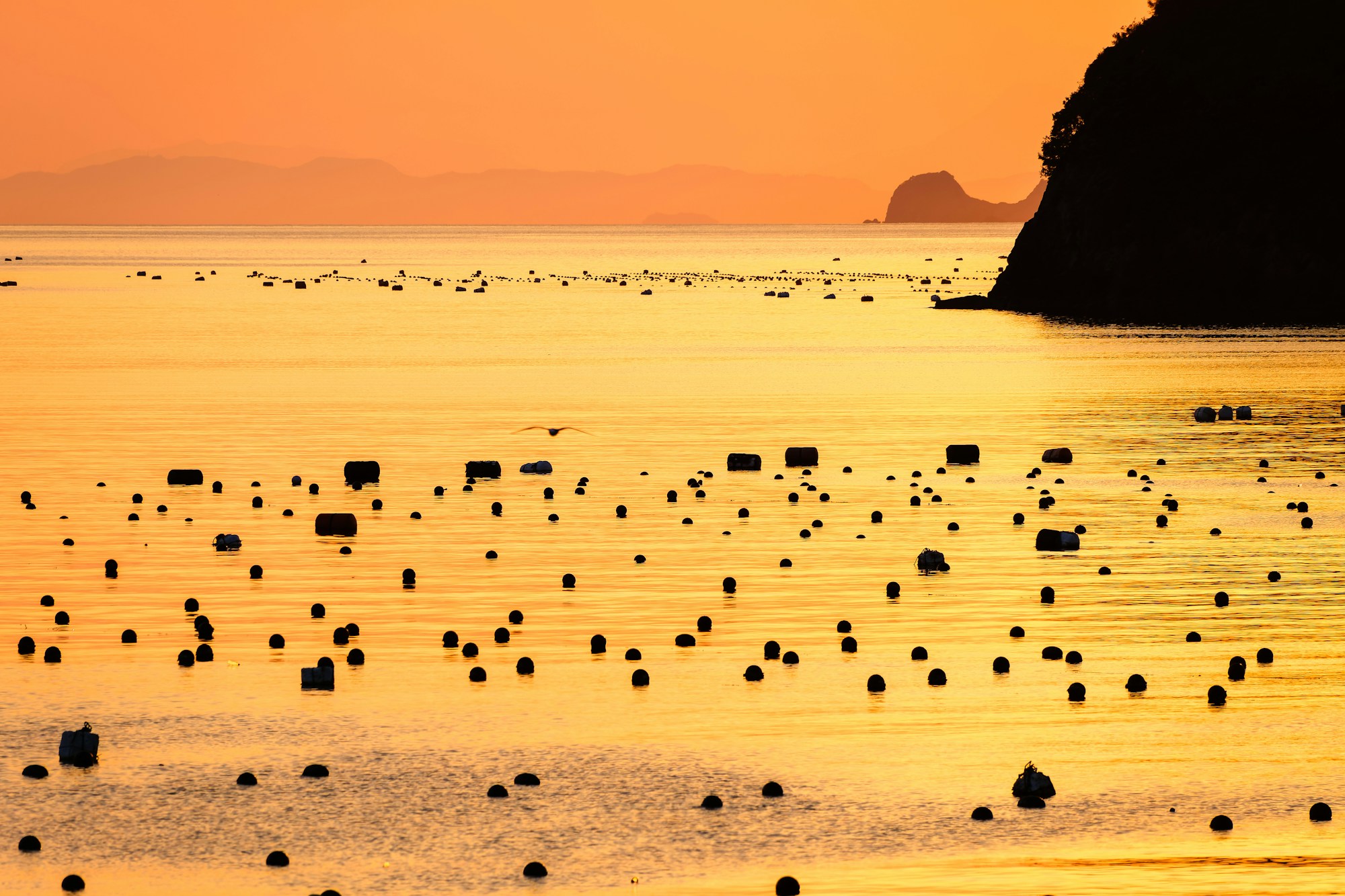 Best Time to Visit Ehime: Weather and Seasons Guide
