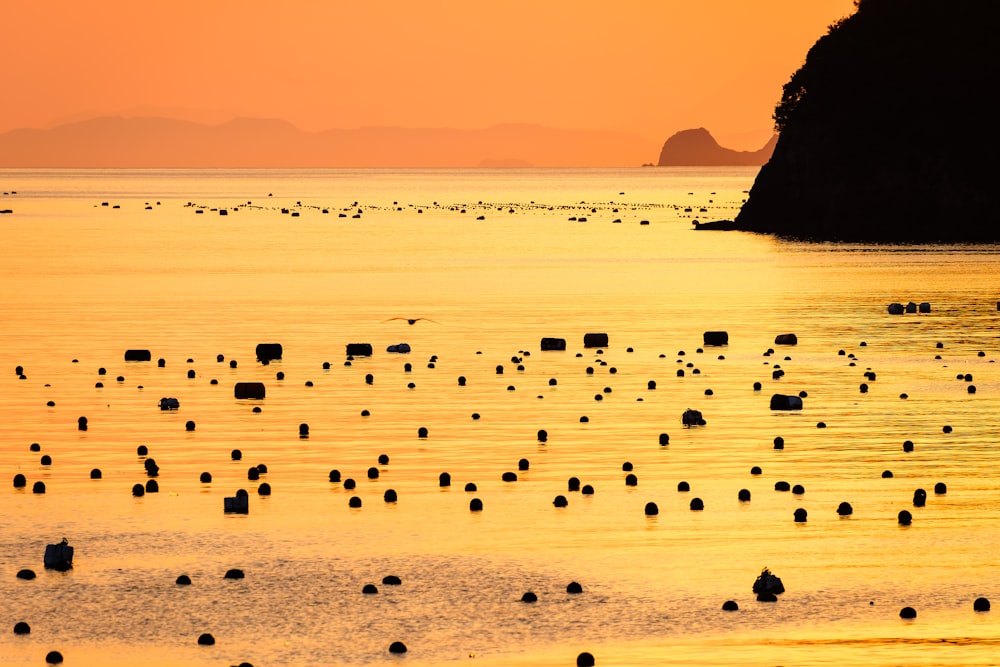 a large body of water with lots of small rocks in it