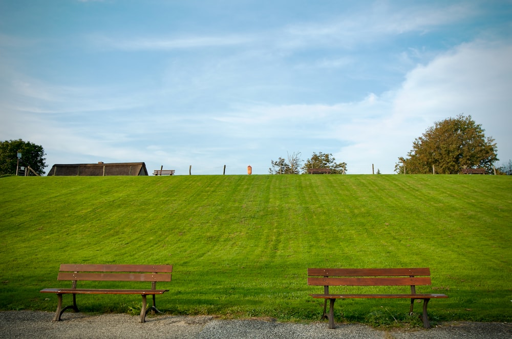 two wooden benches sitting on top of a lush green field