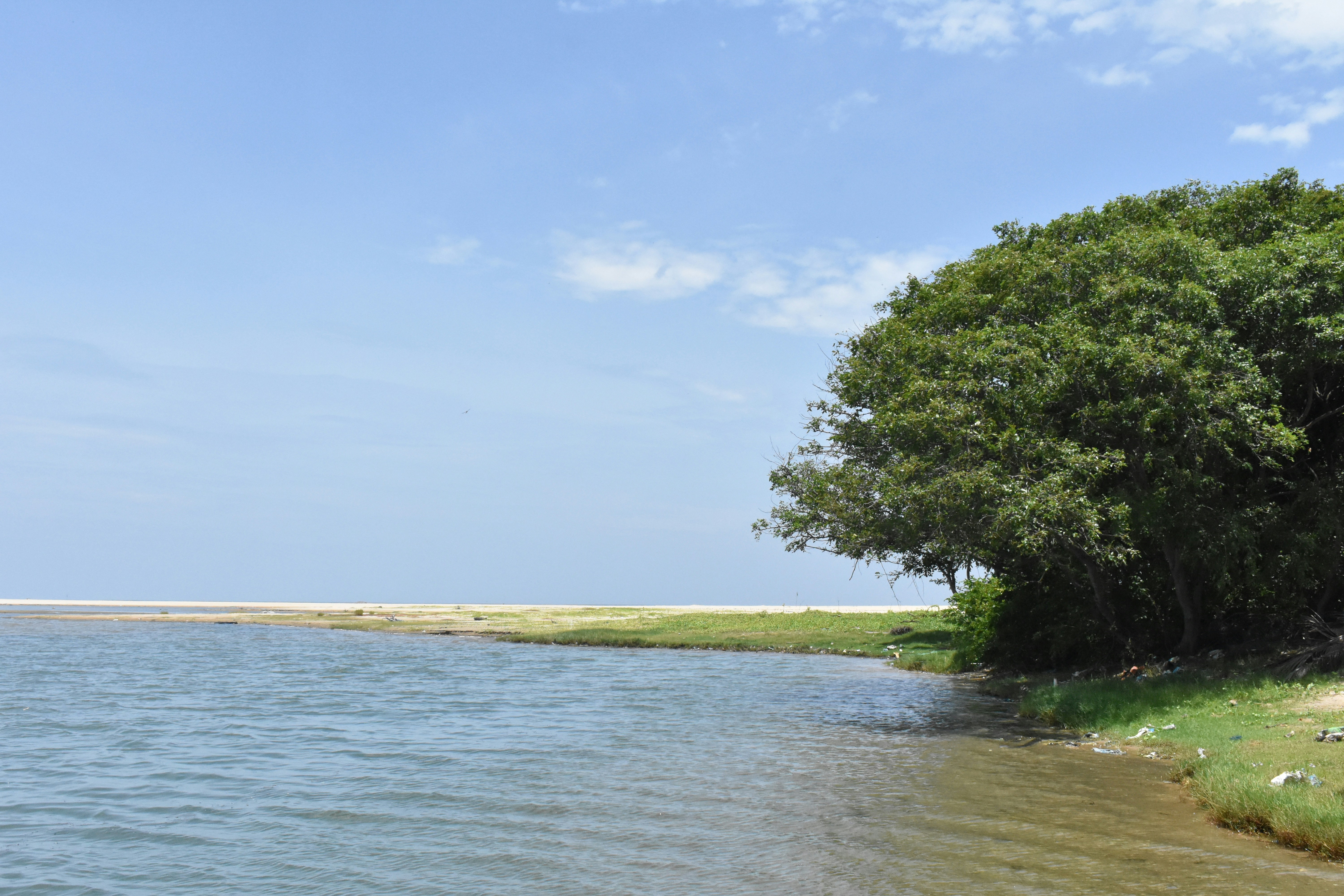 Photo by glowinggowri22