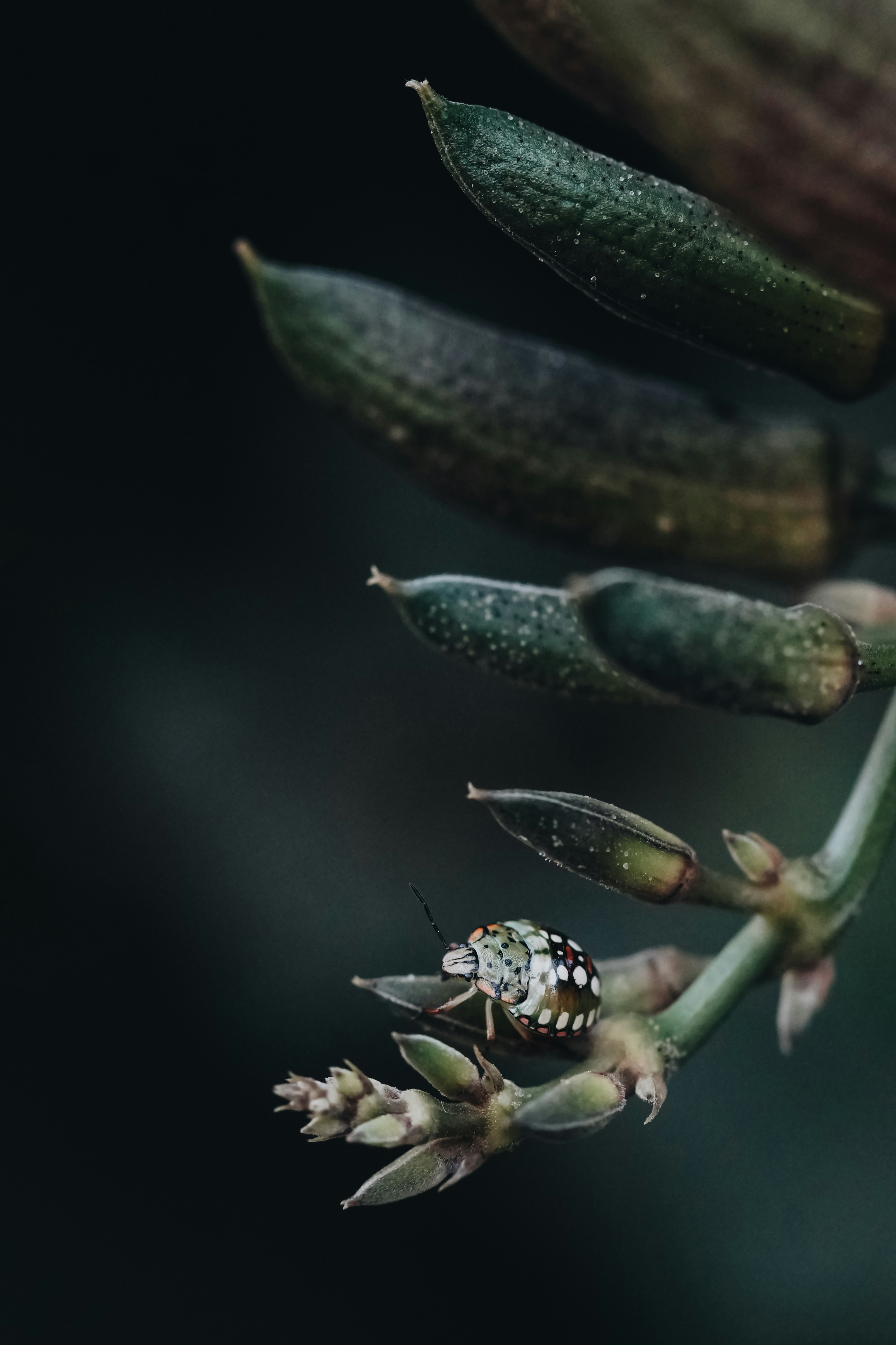 Photo by anyachernykh