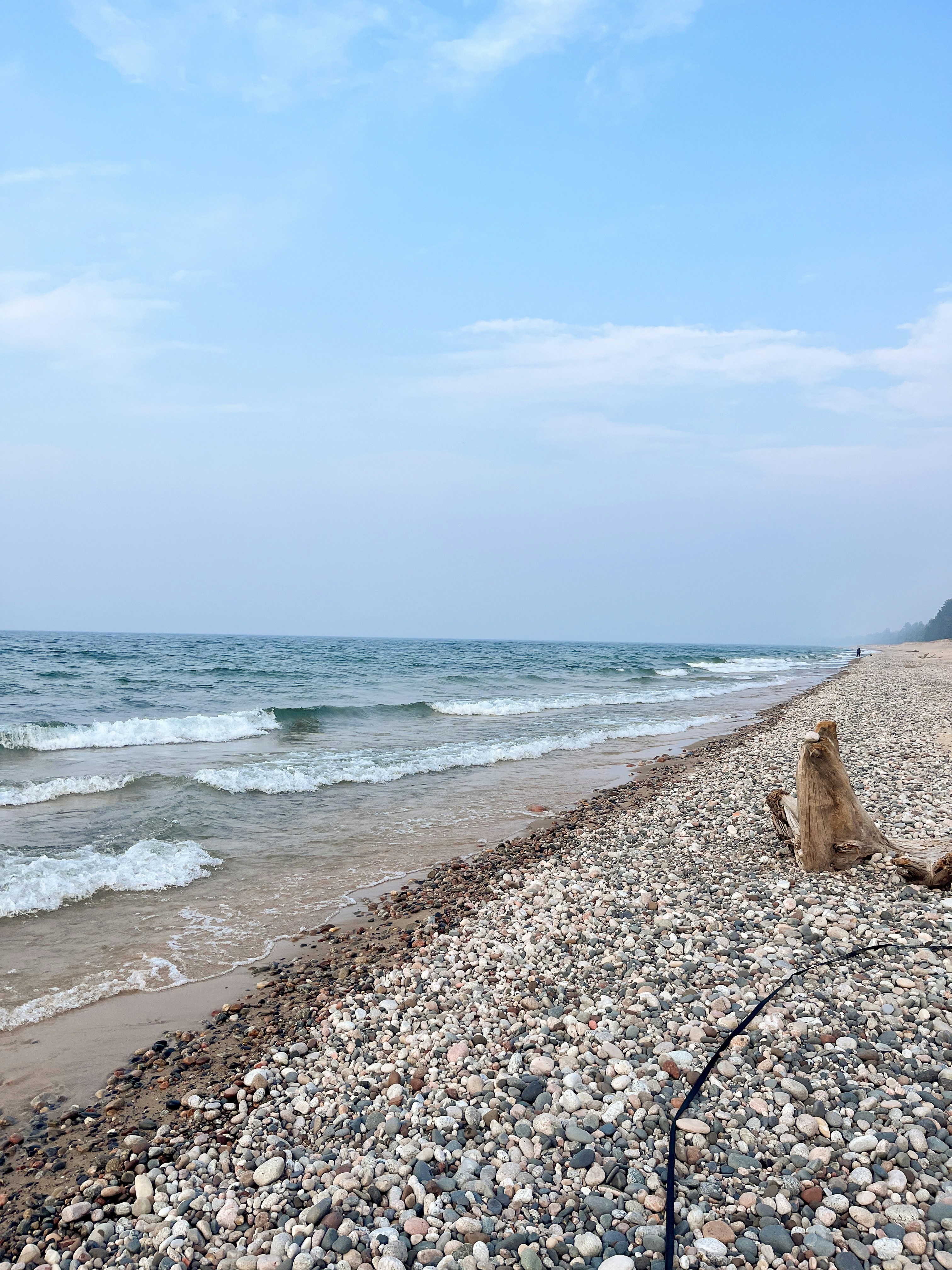 Un perro sentado en una playa rocosa junto al océano