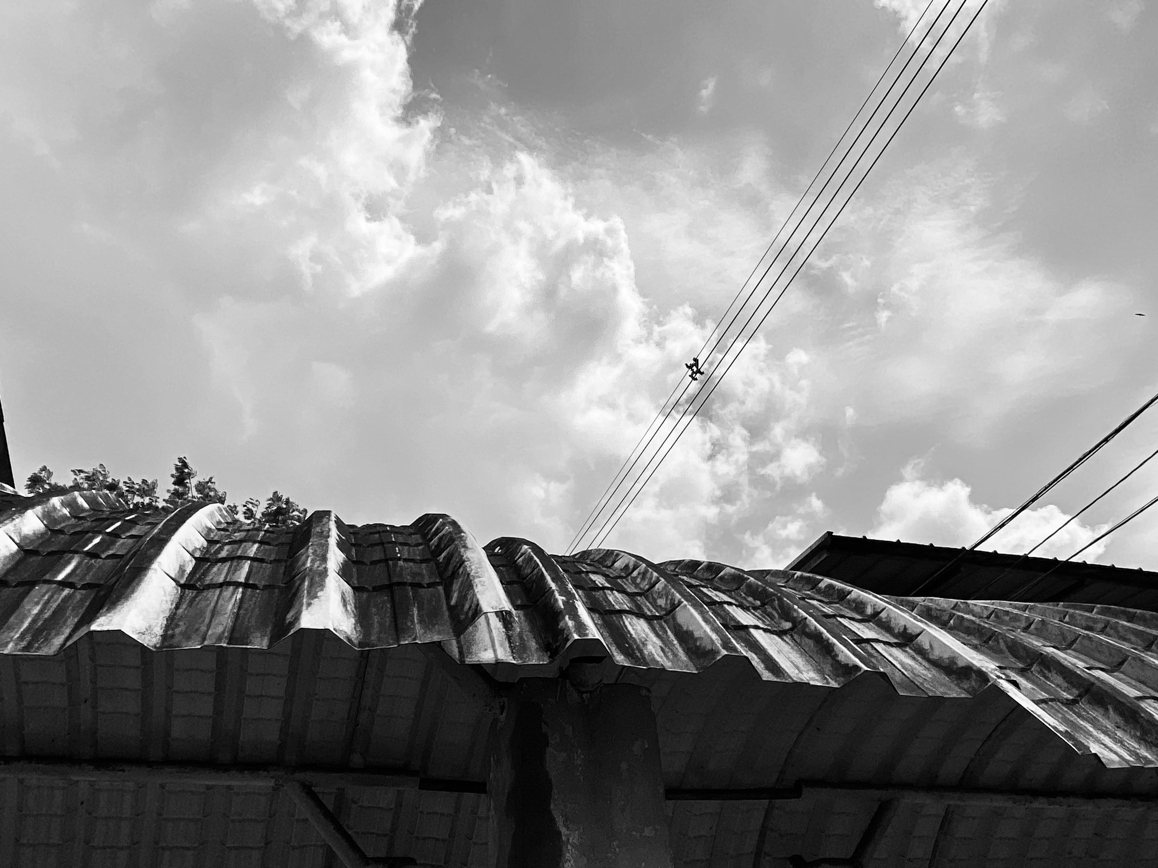 Free Roof Quotes Near Me — Save Big & Protect Home