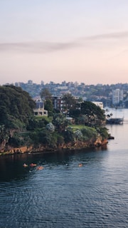 A waterfront scene features a lush, tree-covered coastline with a grassy area in the foreground. Several kayakers paddle in calm waters near the shore. Buildings and residential houses are visible in the background, perched on a gently rising hill. The sky is soft and clear, with hints of a sunset casting a warm glow.