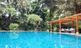 A serene natural swimming pool surrounded by lush garden and wooden structures.