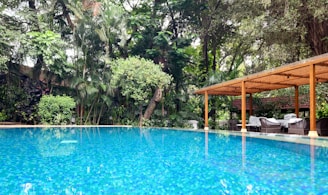 a large swimming pool surrounded by lush green trees