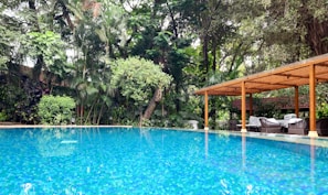 An elegant pool surrounded by lush greenery and a cozy wooden deck with lounge chairs.