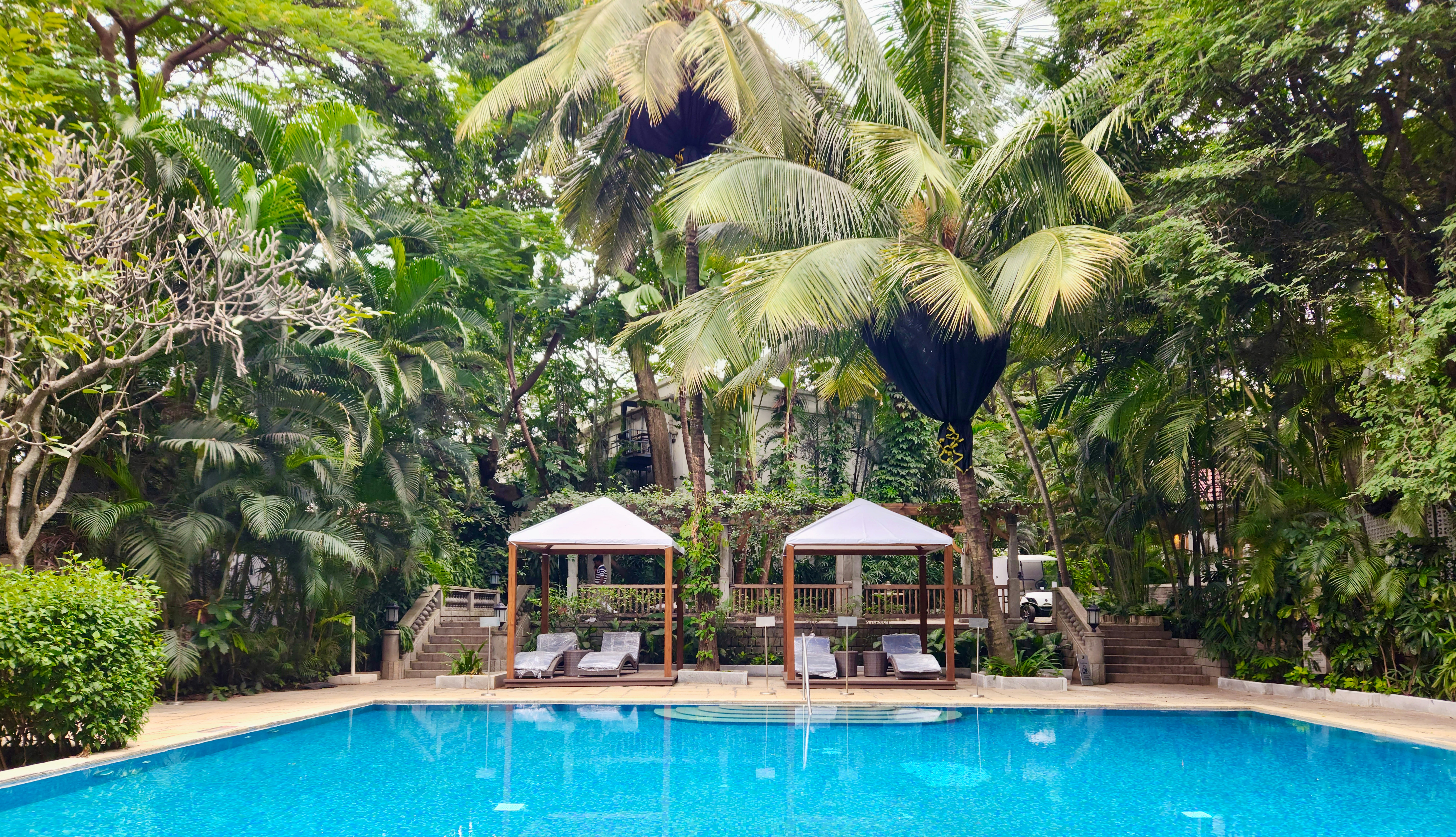 a swimming pool surrounded by trees and chairs, The luxurious tropical themed outdoor swimming pool and spa at the Taj West End Hotel, Bangalore, Karnataka, India. Nestled amidst 20 acres of flora and defined by its illustrious heritage and colonial charm, Taj West End, Bengaluru is a lush sanctuary in Bengaluru. Started by the Bronsons as a 10-room inn in 1887, it now has 117 magnificent rooms and suites that dot the sprawling landscaped gardens, each with a gorgeous view.