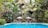 Guests lounging by the serene pool surrounded by tall trees and vibrant plants.