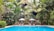 Guests lounging by the serene pool surrounded by tall trees and vibrant plants.